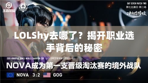 LOLShy去哪了？揭開(kāi)職業(yè)選手背后的秘密