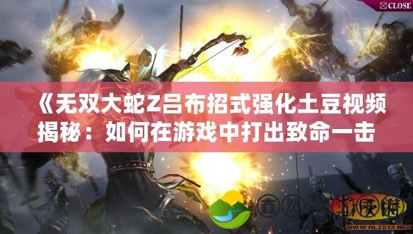 《無雙大蛇Z呂布招式強化土豆視頻揭秘：如何在游戲中打出致命一擊》