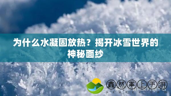 為什么水凝固放熱？揭開冰雪世界的神秘面紗