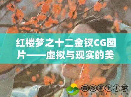 紅樓夢之十二金釵CG圖片——虛擬與現(xiàn)實的美麗交融