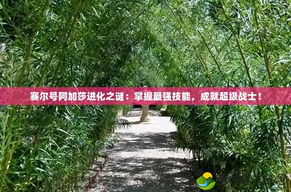 賽爾號阿加莎進化之謎：掌握最強技能，成就超級戰(zhàn)士！