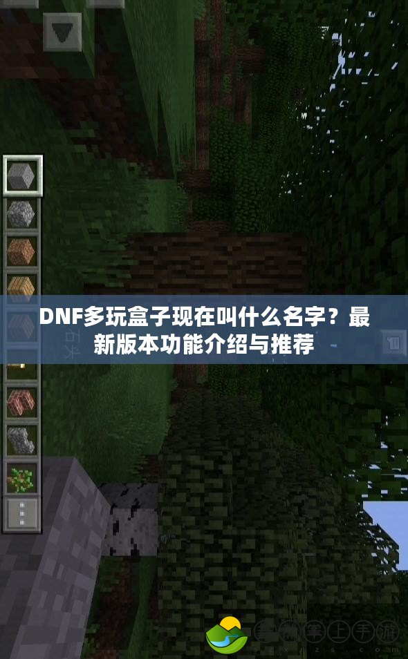 DNF多玩盒子現在叫什么名字？最新版本功能介紹與推薦