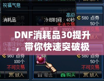 DNF消耗品30提升，帶你快速突破極限，實(shí)力飆升！