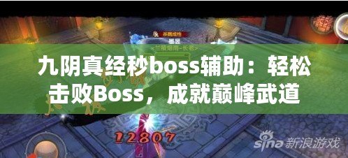 九陰真經(jīng)秒boss輔助：輕松擊敗Boss，成就巔峰武道