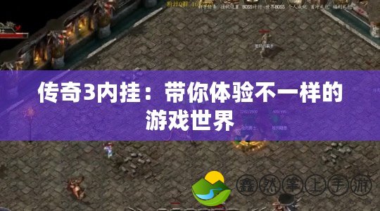 傳奇3內(nèi)掛：帶你體驗不一樣的游戲世界