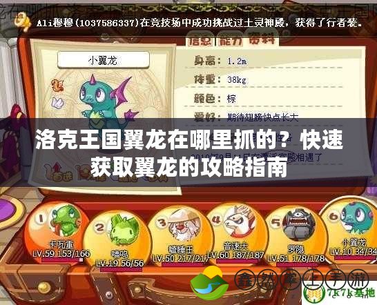 洛克王國(guó)翼龍?jiān)谀睦镒サ模靠焖佾@取翼龍的攻略指南