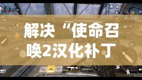 解決“使命召喚2漢化補(bǔ)丁下載不了”問(wèn)題的終極指南