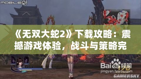 《無雙大蛇2》下載攻略：震撼游戲體驗，戰(zhàn)斗與策略完美融合！