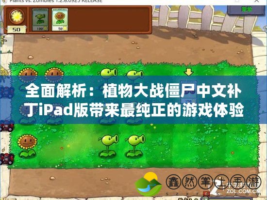 全面解析：植物大戰(zhàn)僵尸中文補丁iPad版帶來最純正的游戲體驗！