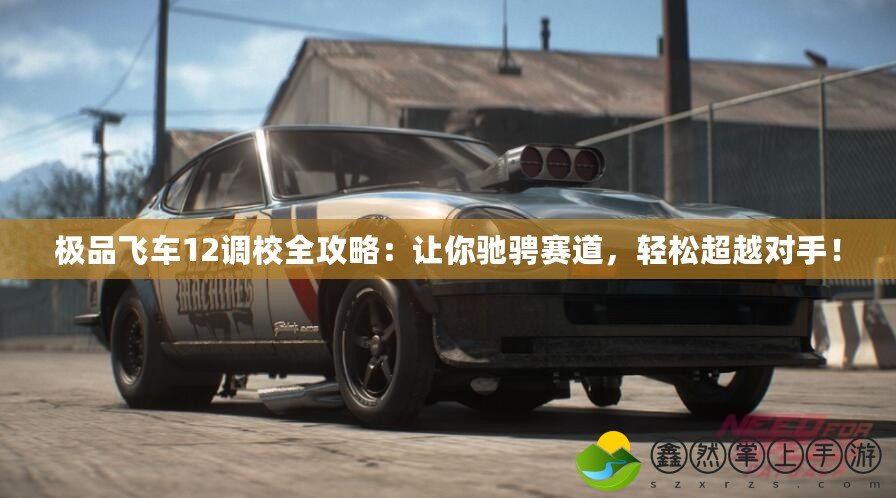 極品飛車(chē)12調(diào)校全攻略：讓你馳騁賽道，輕松超越對(duì)手！