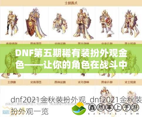 DNF第五期稀有裝扮外觀金色——讓你的角色在戰(zhàn)斗中閃耀非凡