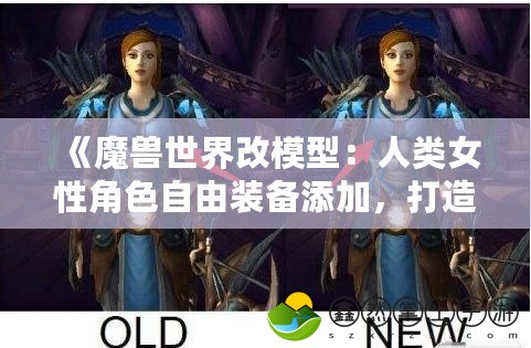 《魔獸世界改模型：人類女性角色自由裝備添加，打造專屬于你的英雄》