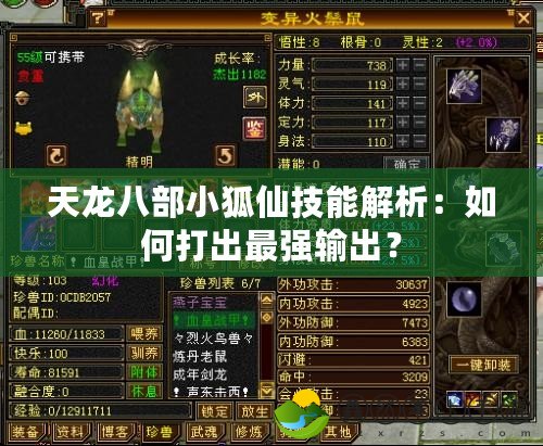 天龍八部小狐仙技能解析：如何打出最強(qiáng)輸出？