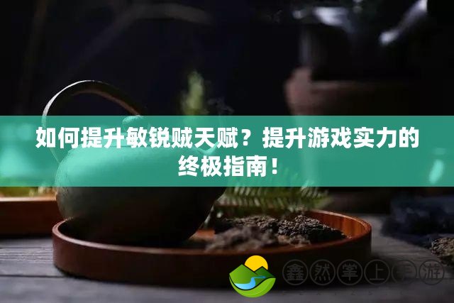 如何提升敏銳賊天賦？提升游戲?qū)嵙Φ慕K極指南！