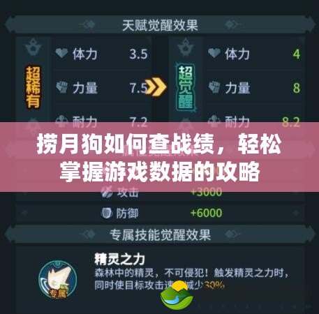 撈月狗如何查戰(zhàn)績，輕松掌握游戲數(shù)據(jù)的攻略