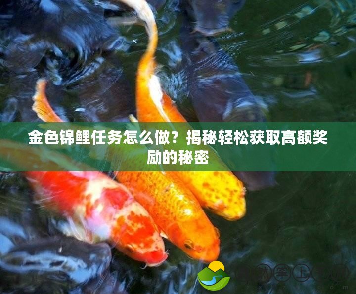 金色錦鯉任務(wù)怎么做？揭秘輕松獲取高額獎(jiǎng)勵(lì)的秘密