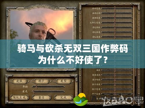 騎馬與砍殺無雙三國作弊碼為什么不好使了？