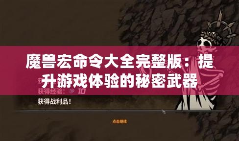 魔獸宏命令大全完整版：提升游戲體驗的秘密武器