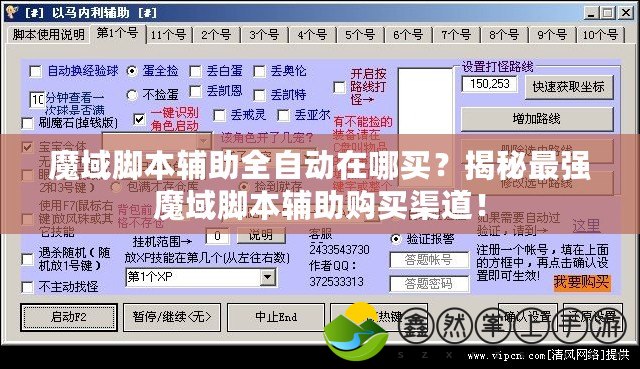 魔域腳本輔助全自動在哪買？揭秘最強(qiáng)魔域腳本輔助購買渠道！