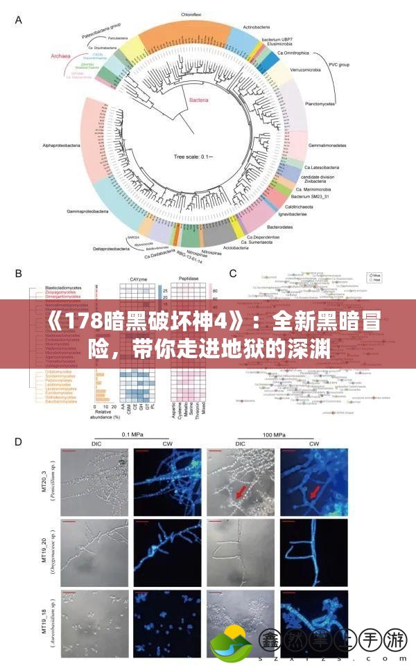 《178暗黑破壞神4》：全新黑暗冒險(xiǎn)，帶你走進(jìn)地獄的深淵