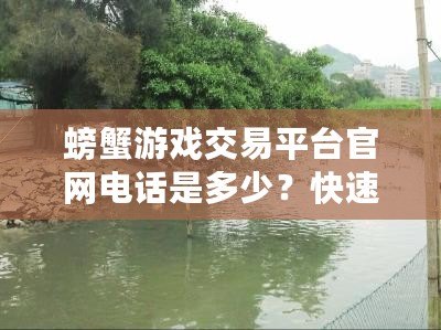 螃蟹游戲交易平臺(tái)官網(wǎng)電話是多少？快速了解最新交易平臺(tái)聯(lián)系方式！