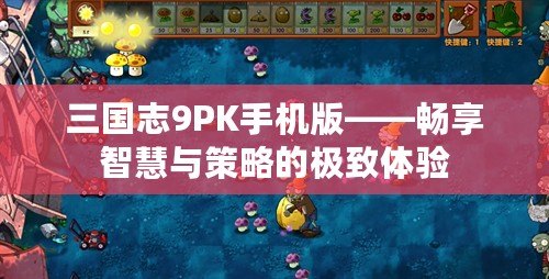 三國志9PK手機版——暢享智慧與策略的極致體驗