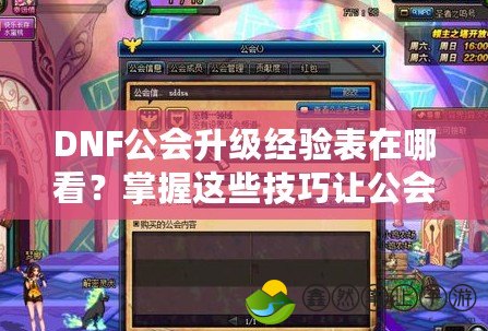 DNF公會升級經(jīng)驗表在哪看？掌握這些技巧讓公會升級更輕松！