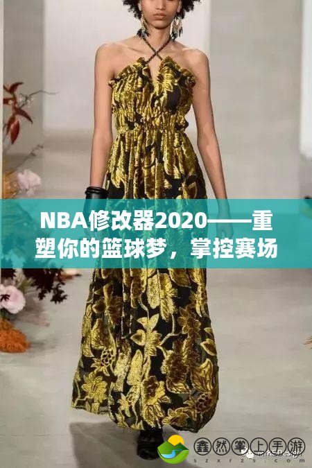 NBA修改器2020——重塑你的籃球夢，掌控賽場的勝利法寶