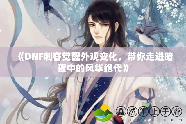 《DNF刺客覺醒外觀變化，帶你走進暗夜中的風(fēng)華絕代》