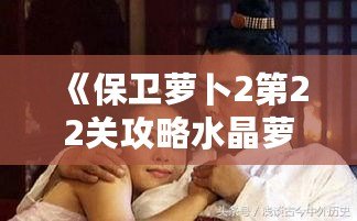 《保衛(wèi)蘿卜2第22關(guān)攻略水晶蘿卜攻略視頻教程》