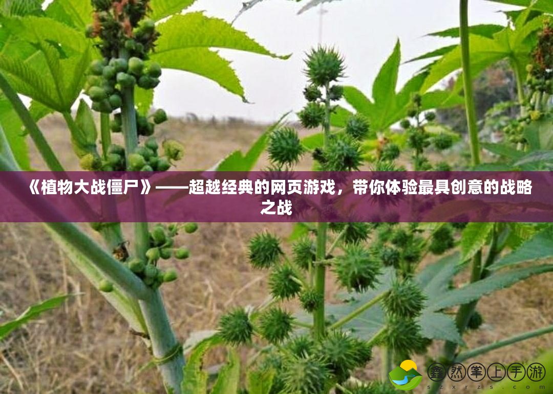 《植物大戰(zhàn)僵尸》——超越經(jīng)典的網(wǎng)頁(yè)游戲，帶你體驗(yàn)最具創(chuàng)意的戰(zhàn)略之戰(zhàn)