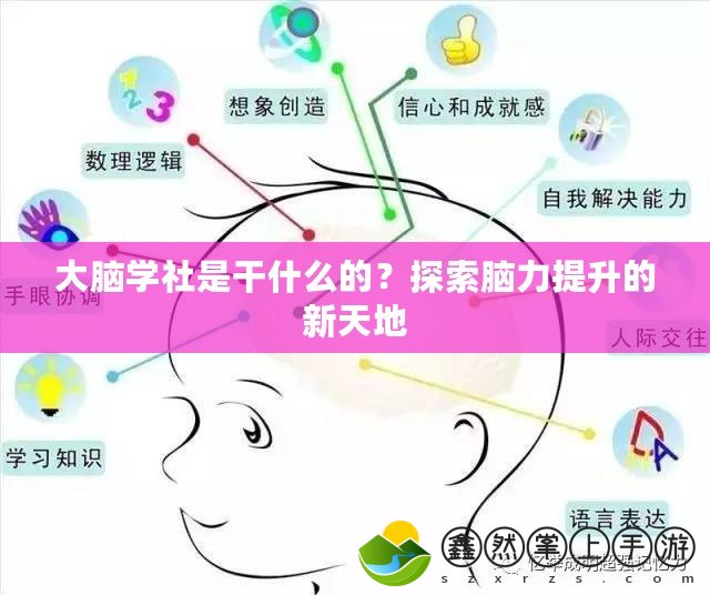 大腦學社是干什么的？探索腦力提升的新天地